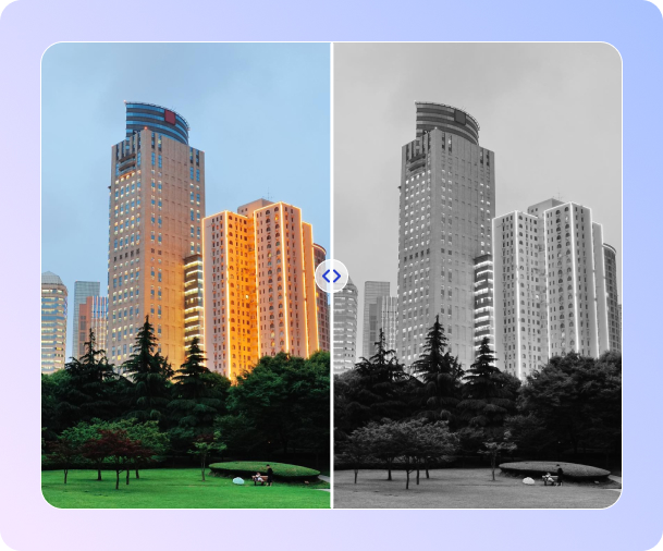 colorization
