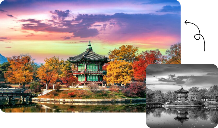 Colorization